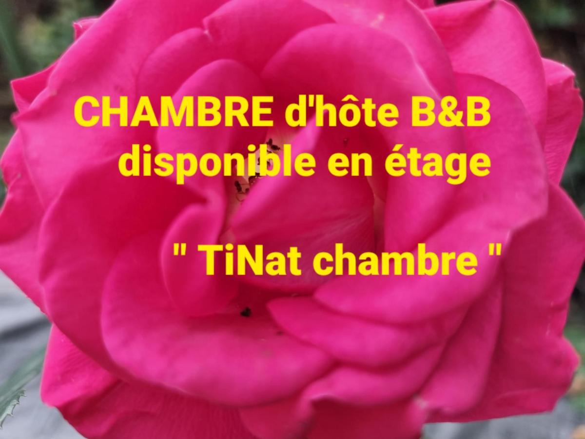 Tinat Studio دوارنونيه المظهر الخارجي الصورة
